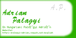 adrian palagyi business card